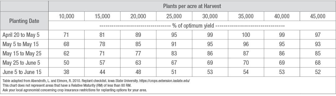 Potential corn yield at harvest based on planting dates and plants per acre.